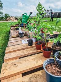 Pflanzen auf Paletten mit Gie&szlig;kanne