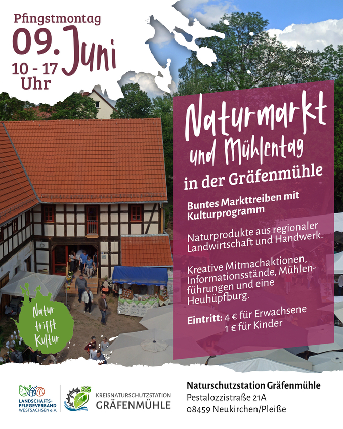 Auf dem Bild im Hintergrund die Gräfenmühle und Text mit Werbung für den Mühlentag