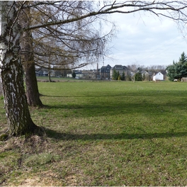 Krokuswiese in Reichenbach