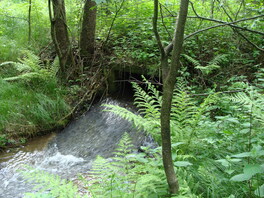 FND Pechgraben
