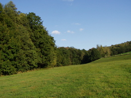 Plexgrund