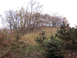 Poppenpöhl in Beiersdorf