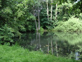 FND Heroldteiche