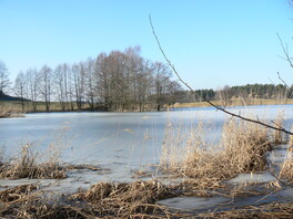 Hauptteich
