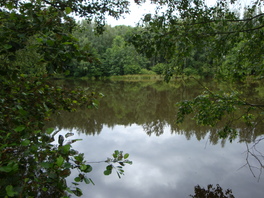 Endersteich Wolfersgrün
