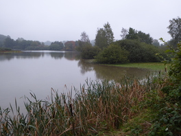 Großer Teich