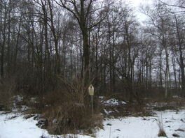 Pfarrholz Bräunsdorf