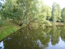 Teiche im Pleißenbachgrund