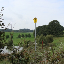 Trockenrasen II