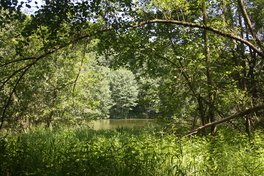Talsperrenvorstau Kleinbernsdorf