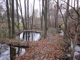 Pfarrgarten Langenweißbach