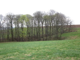 Drei Kerbtälchen Mülsen St. Micheln