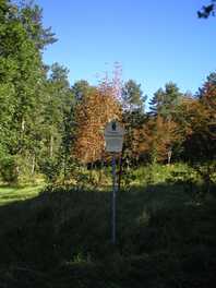 FND Zwergstrauchheide und Serpentinitsteinbrüche Kuhschnappel