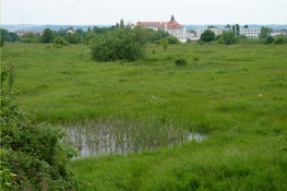 NSG "Am Rümpfwald" in Glauchau