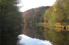 Zwickauer Mulde bei Hartenstein