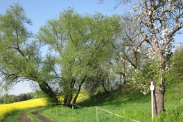 Frühjahr im Sahngebiet
